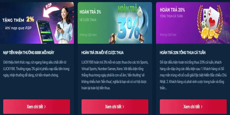Đội ngũ chuyên gia 88betgroup